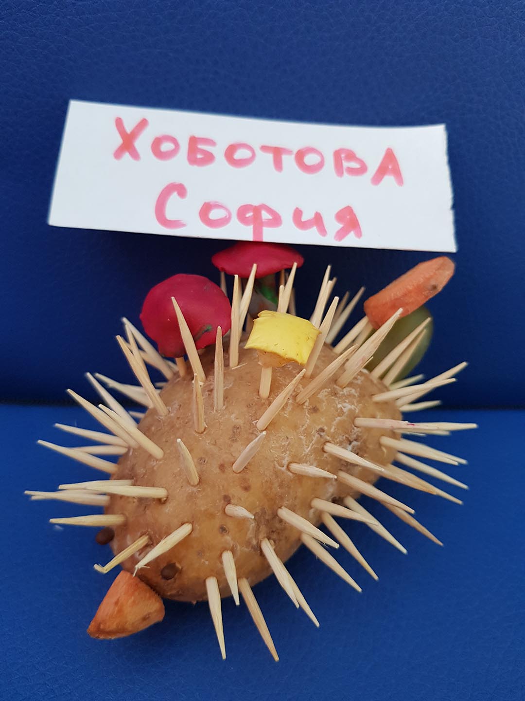 v-10-semya-hobotovyh